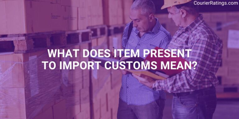 What does Item Present to Import Customs mean