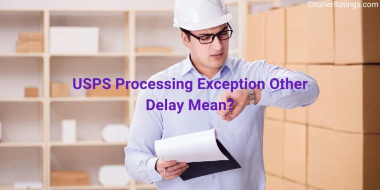 USPS Processing Exception Other Delay Mean